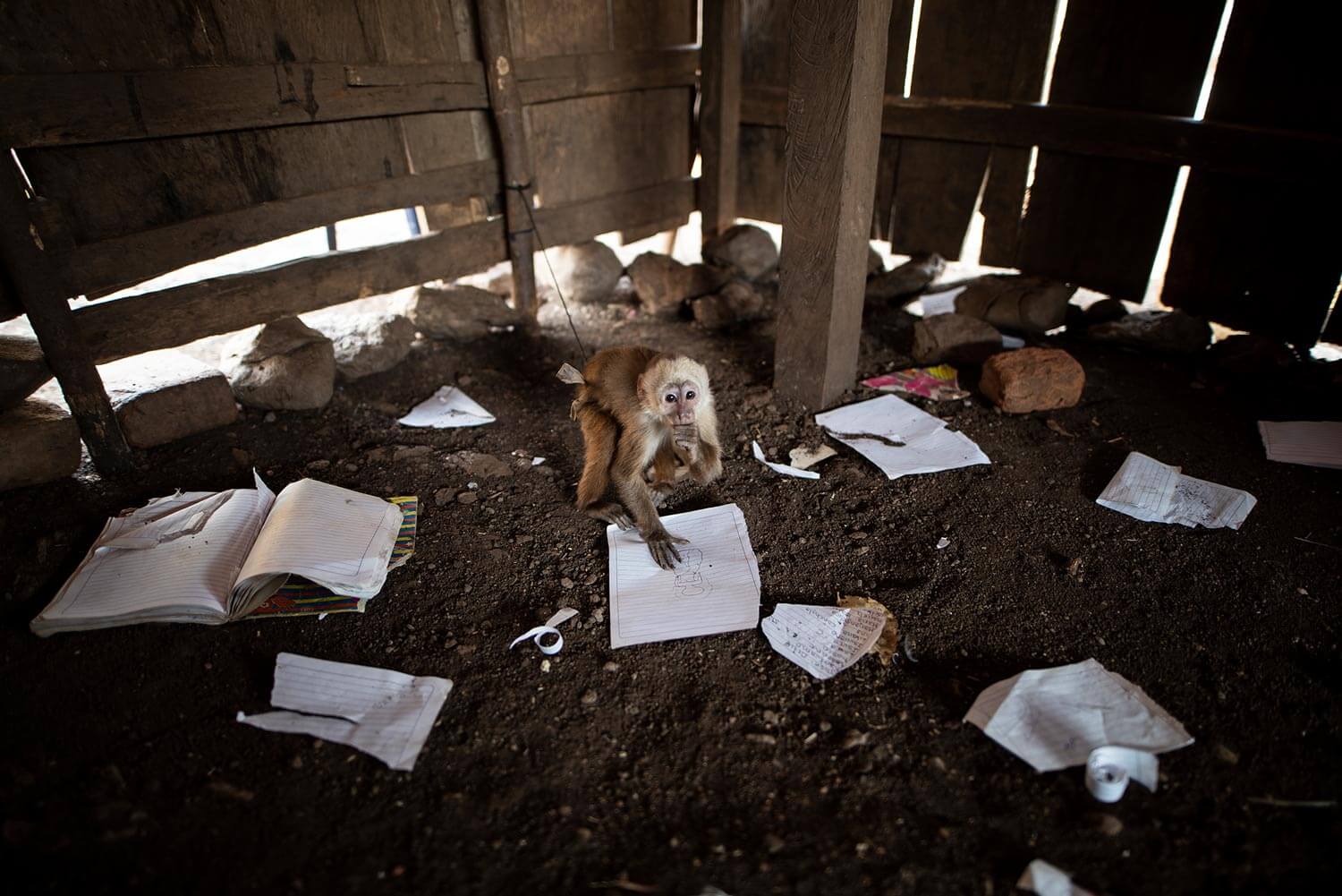 Indígenas de frontera